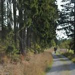 Deluxe In Brilon-wald Near Area Holiday home
