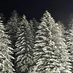 Holiday home Deluxe In Brilon-wald Near Area *