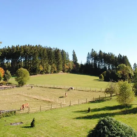 Deluxe In Wald Near Area Holiday home Brilon