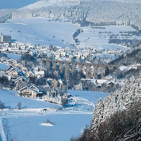 Deluxe In Brilon-wald Near Area