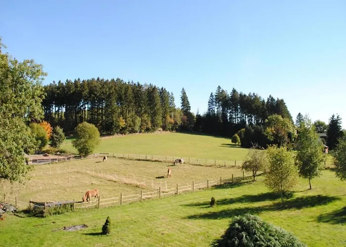 Deluxe In Brilon-wald Near Area بيت للعطل