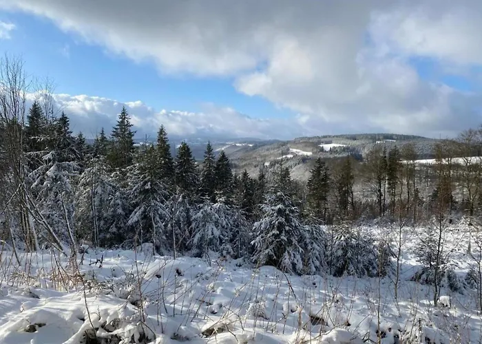 Deluxe In Brilon-wald Near Area Brilon