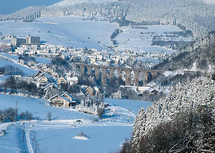 Deluxe In Brilon-wald Near Area Prázdninový dům *