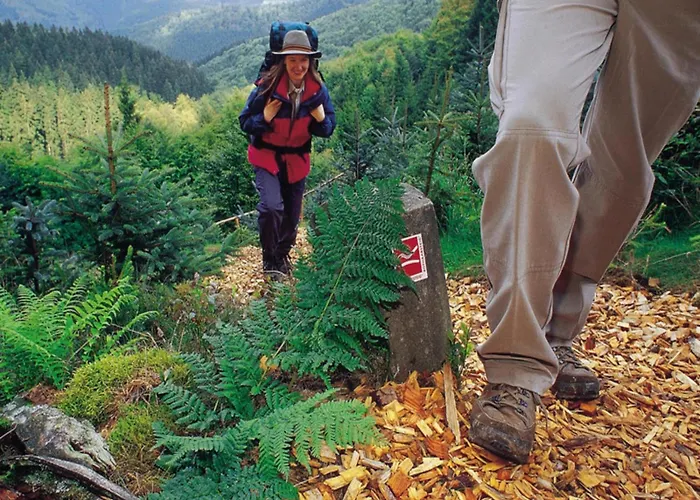 Prázdninový dům Deluxe In Brilon-wald Near Area Brilon