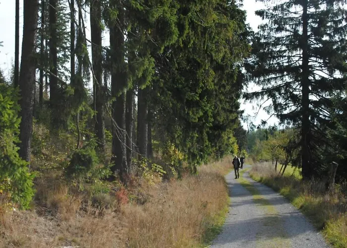 Deluxe In Brilon-wald Near Area Prázdninový dům