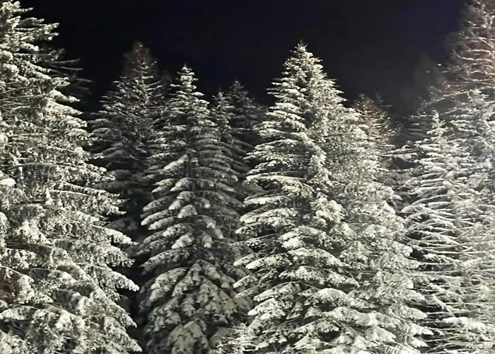 بيت للعطل Deluxe In Brilon-wald Near Area *